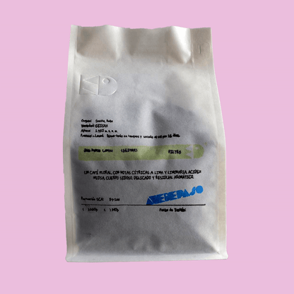 José Manuel Cantillo [GEISHA]