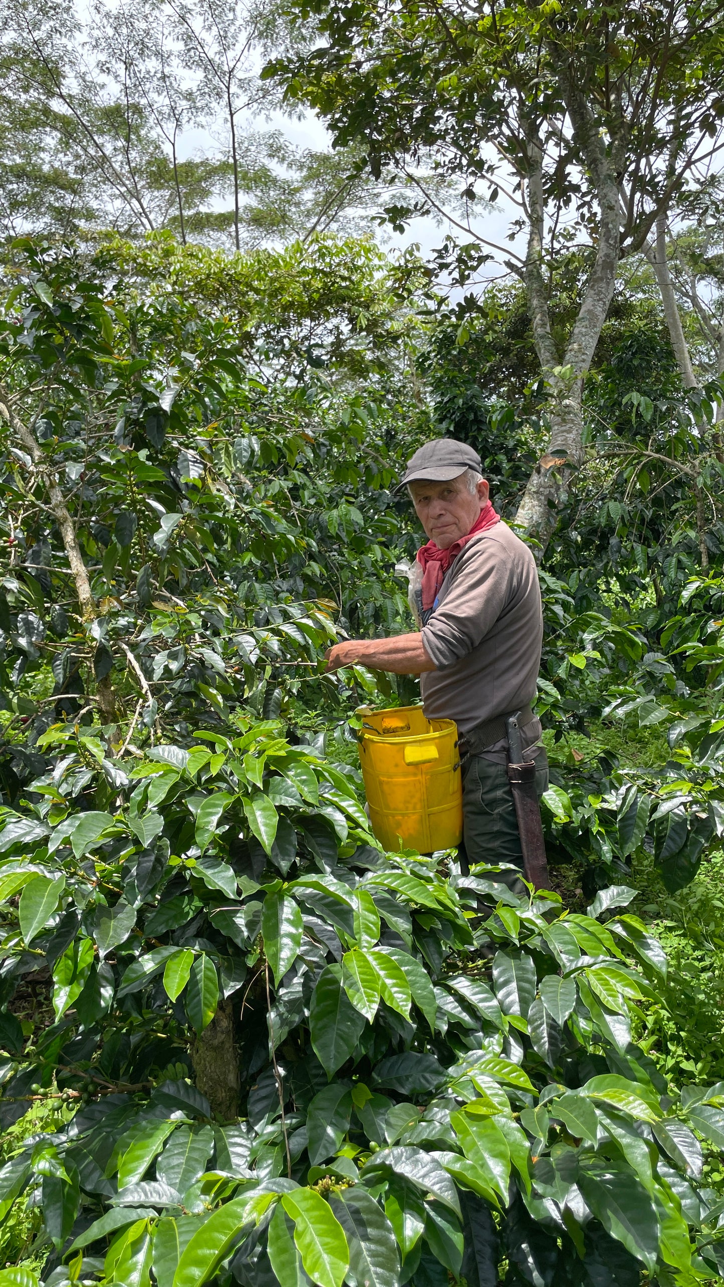 EL QUEBRADÓN AA  [BLEND]
