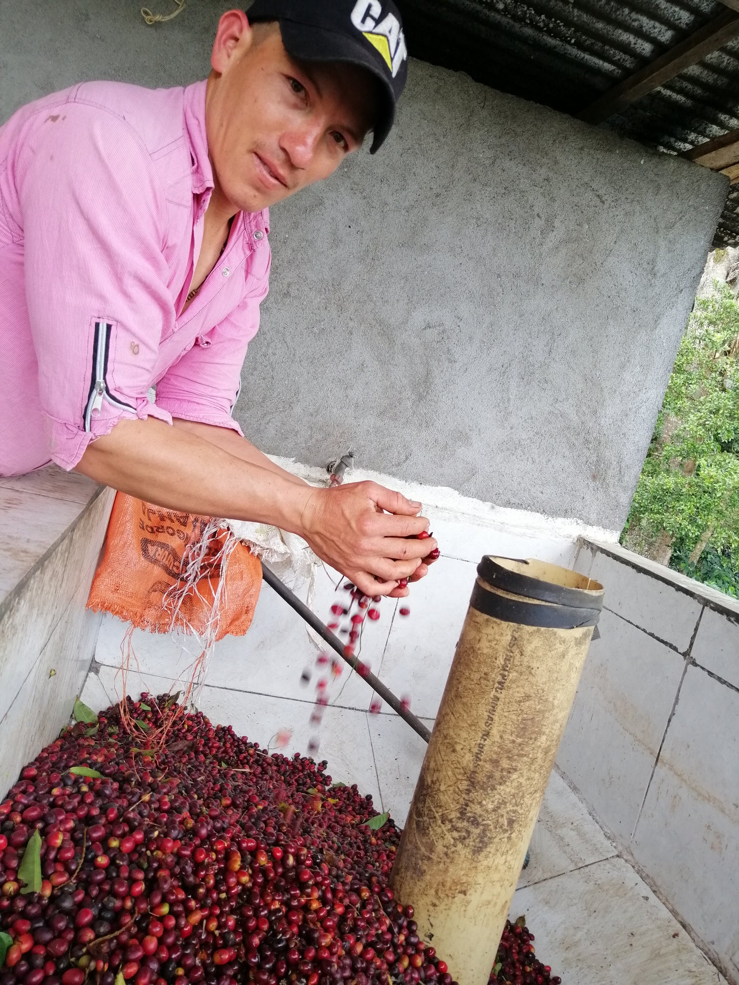 José Manuel Cantillo [GEISHA]