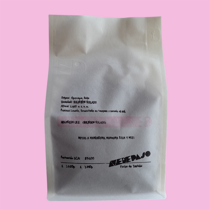 Wilfredo Ule - LAVADO  [BOURBON ROSADO]