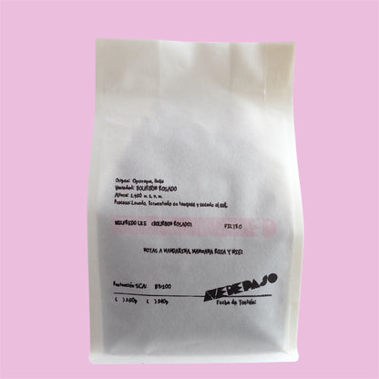 Wilfredo Ule - LAVADO  [BOURBON ROSADO]