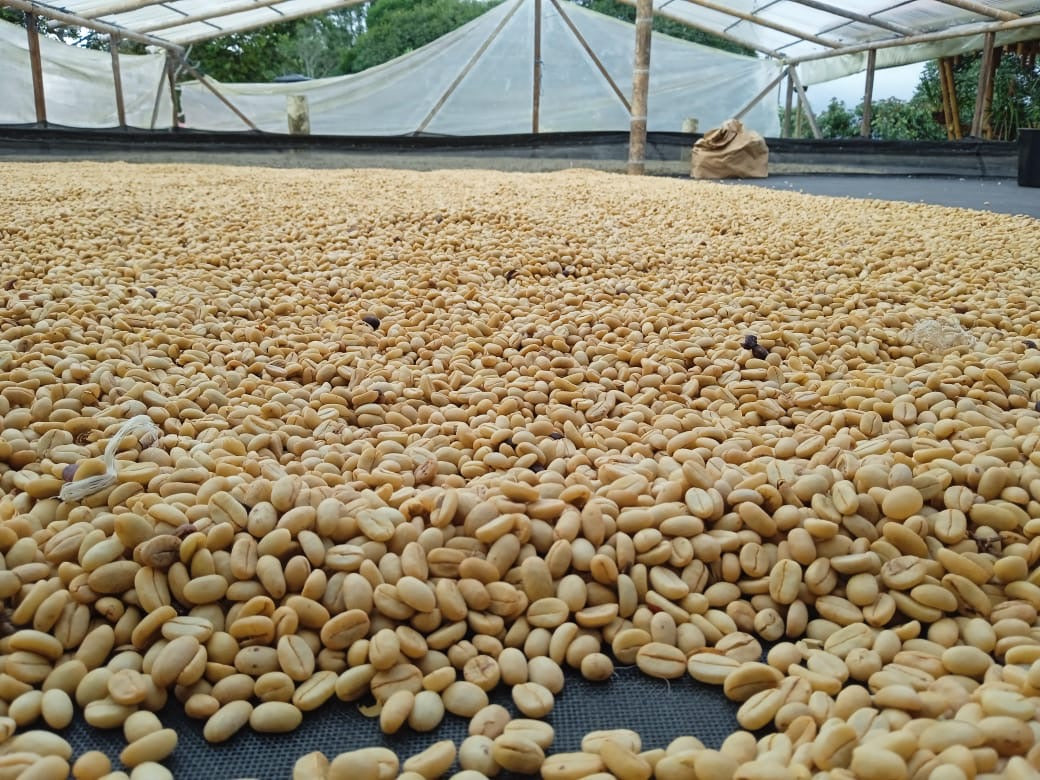 EL QUEBRADÓN AA  [BLEND]