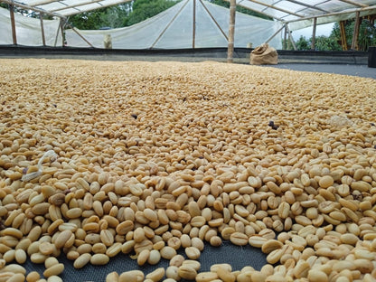 EL QUEBRADÓN AA  [BLEND]